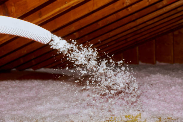 Best Specialized Insulation Services in Lumberton, NC